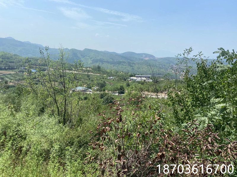 河南矿山施工，河南省矿山承包三级资质转让股权