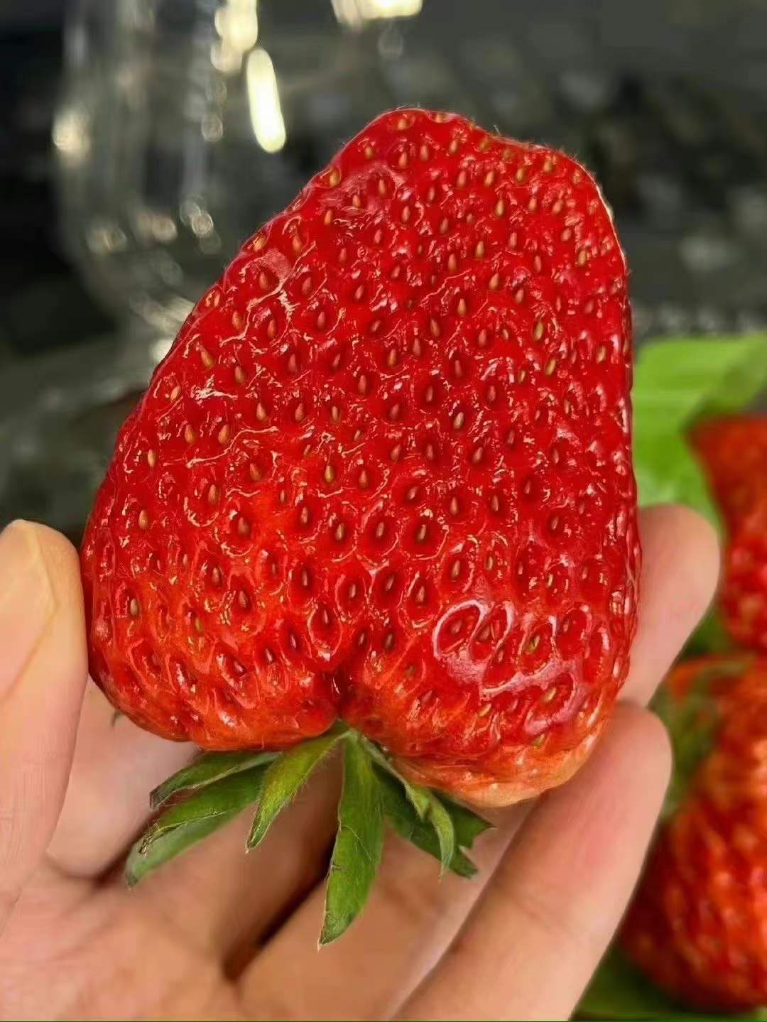 开封建筑一级资质转让