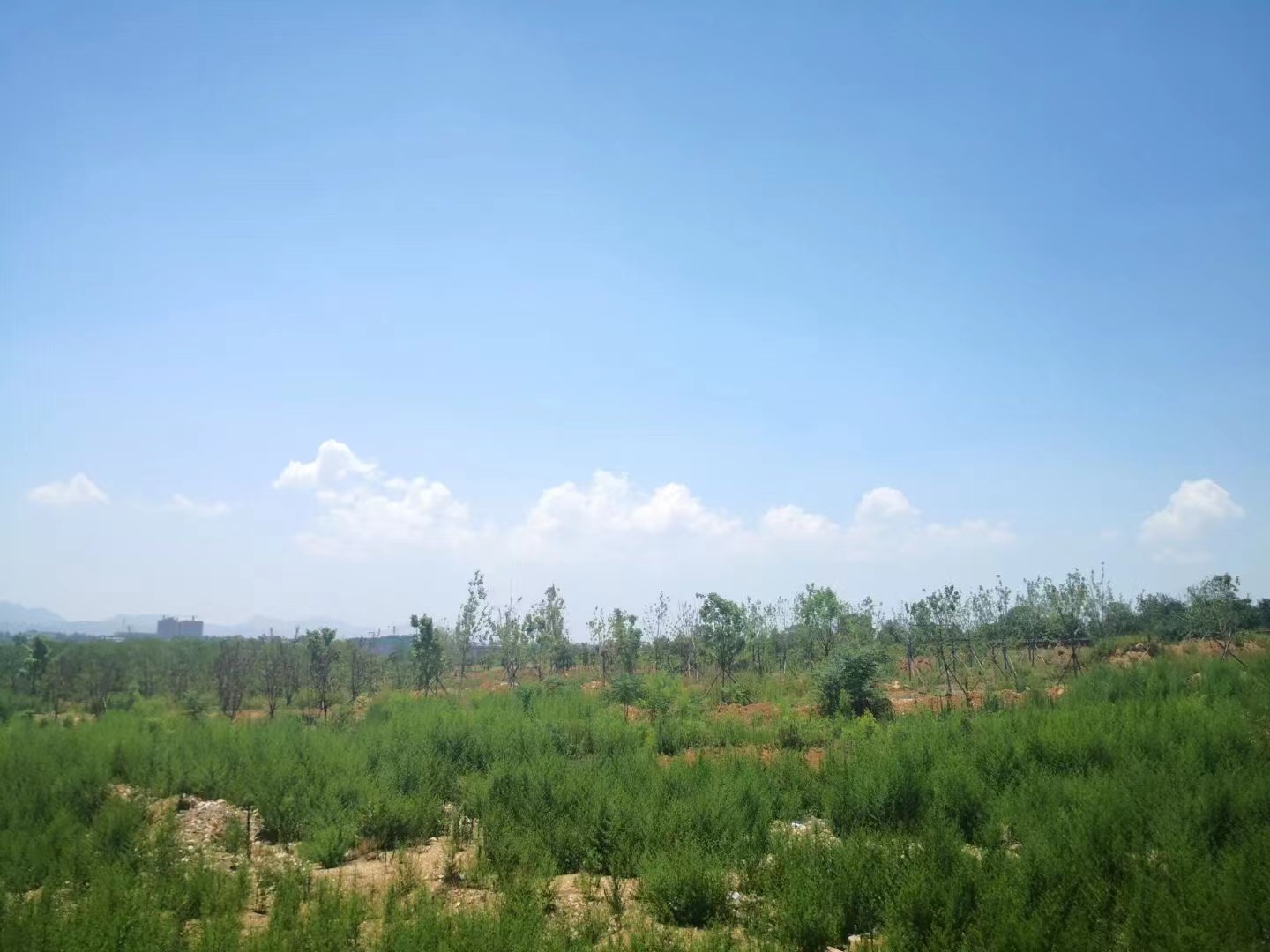 郑州起重一级资质转让，起重设备安装工程资质转让