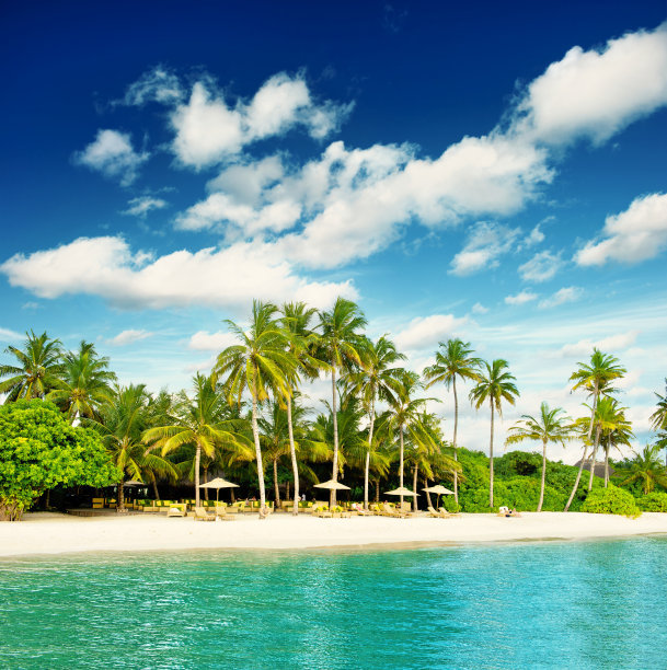 t01b7a0f59ec5cf6eb7 (1).jpg