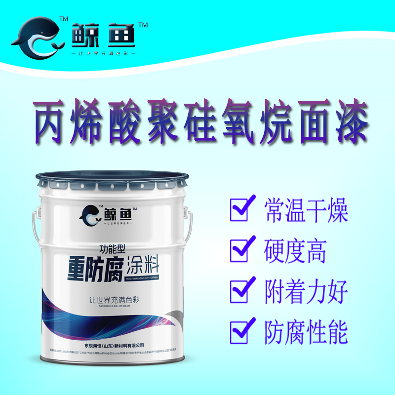 丙烯酸聚硅氧烷防腐漆 耐候性好 超长防腐20年