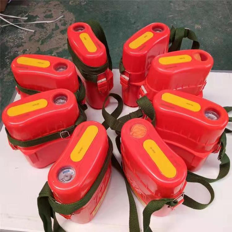 ZYX45/60/120矿用隔绝式压缩氧自救器 矿用逃生器材