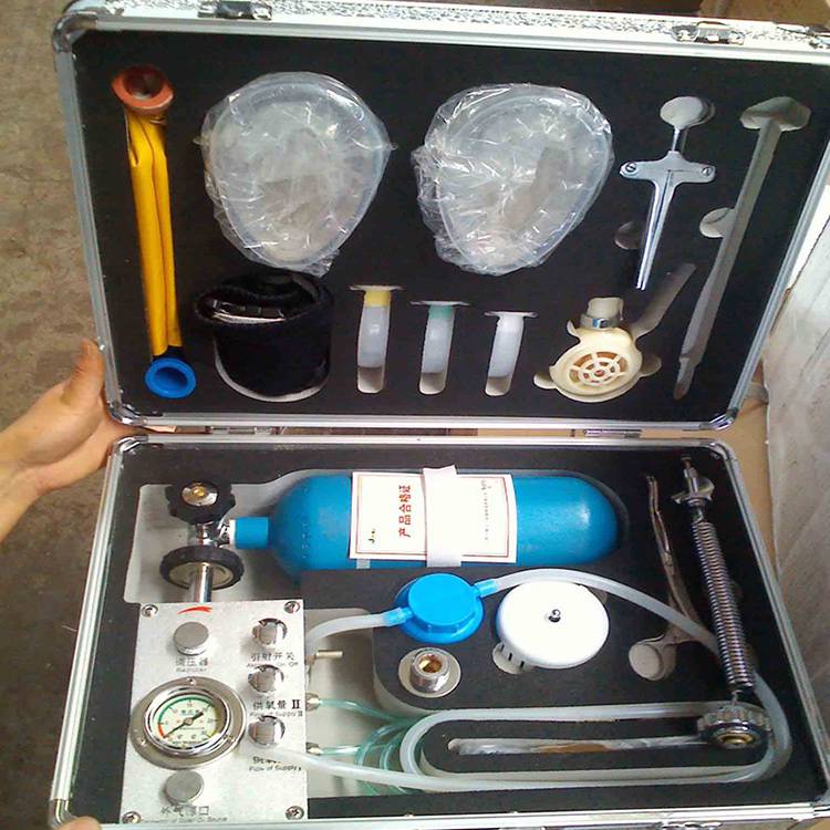 MZS-30自动苏生器 自动苏生器厂家 自动苏醒器